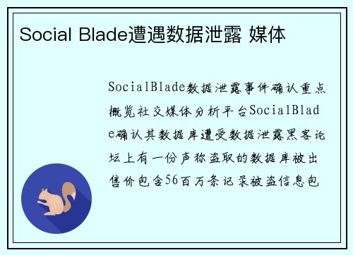Social Blade遭遇数据泄露 媒体