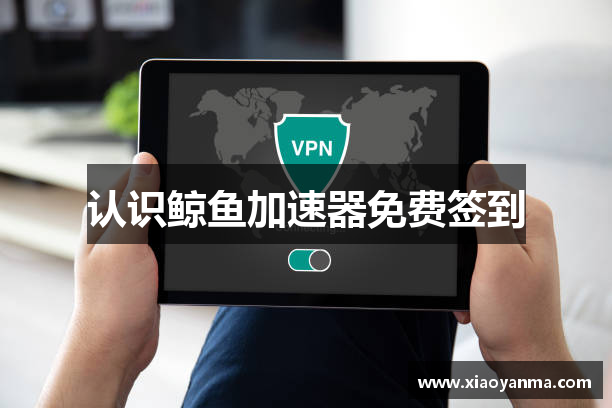 认识鲸鱼加速器免费签到